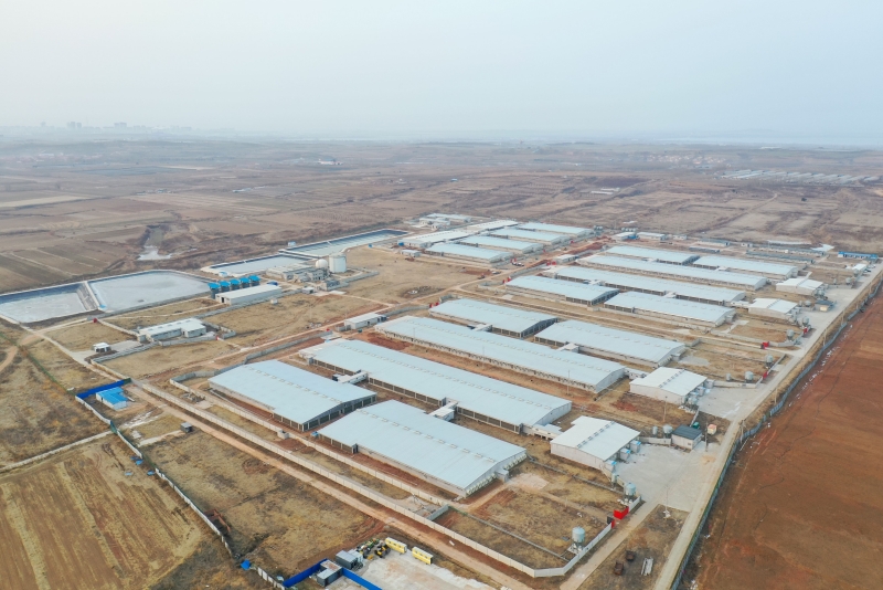 بيت خنزير معدني