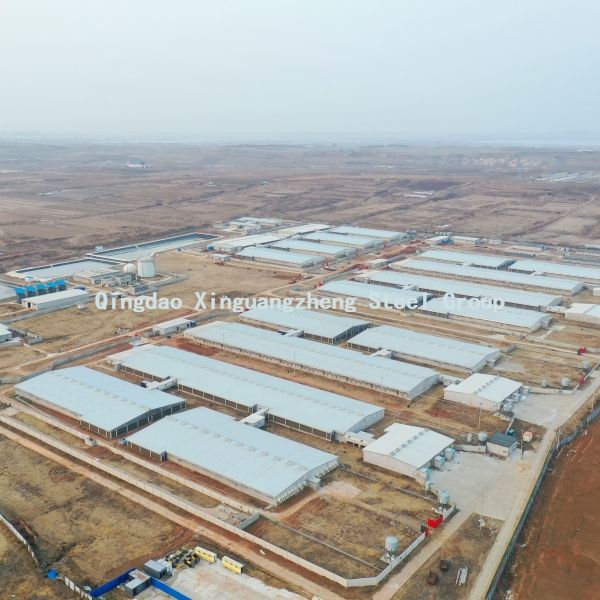 Xinguangzheng هيكل الصلب