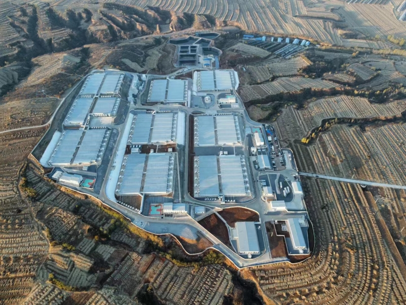 سكن الخنزير