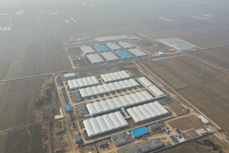 مزرعة المعادن الزراعية