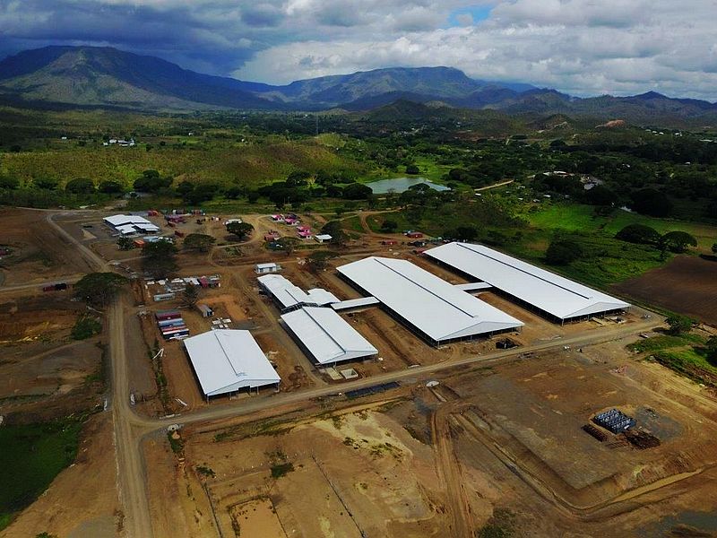 مزرعة ابقار