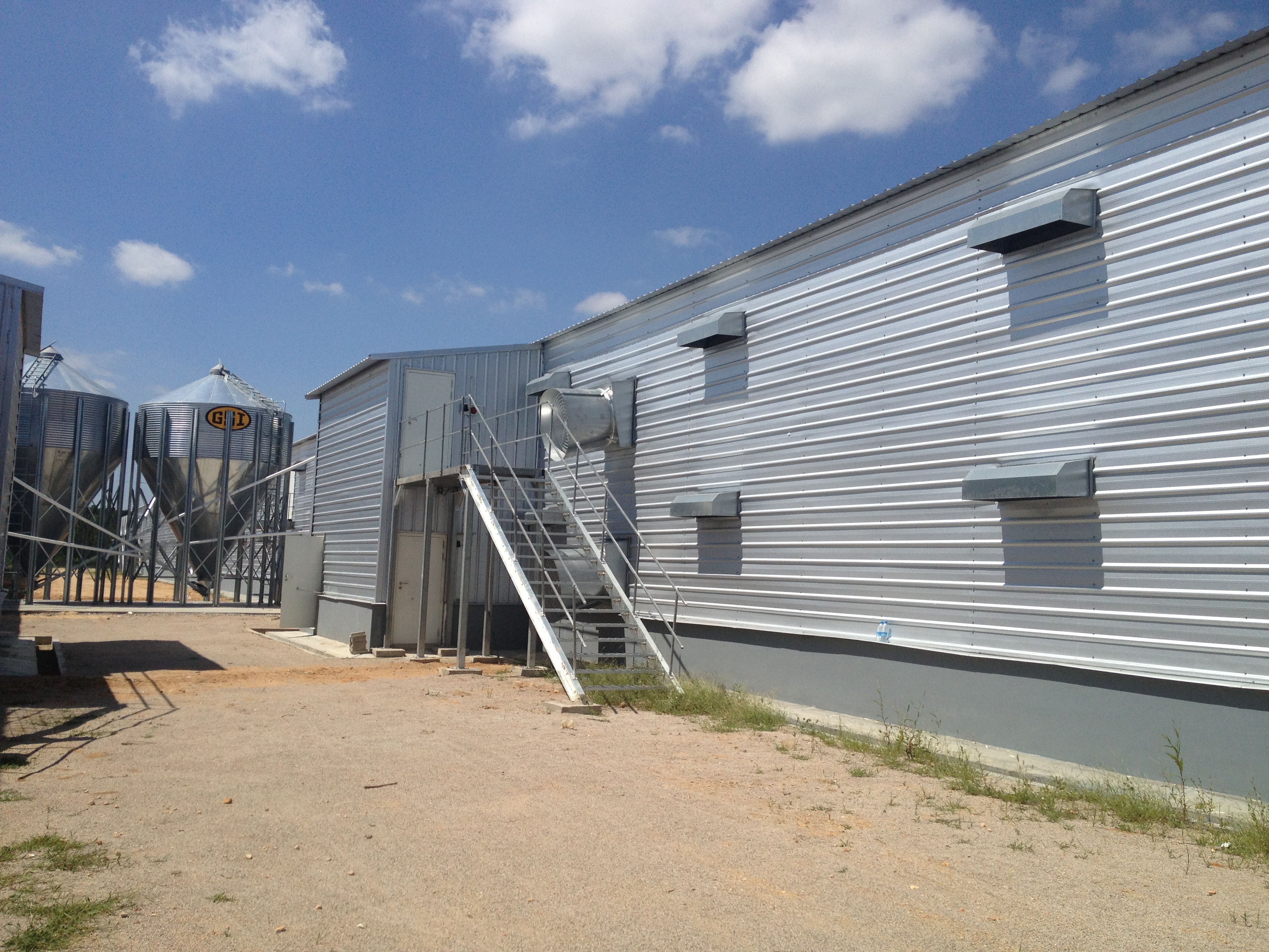 الميزانين الصلب