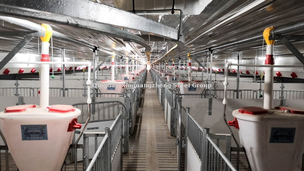 مزرعة للخنازير