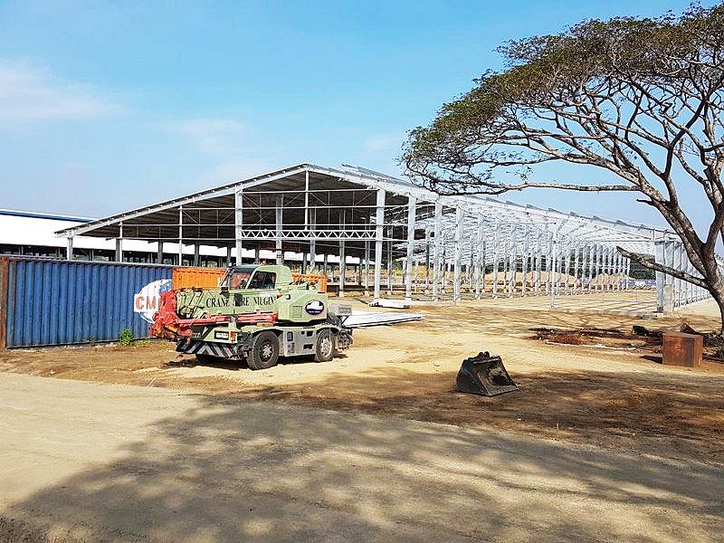 هيكل الصلب مزرعة البقرة