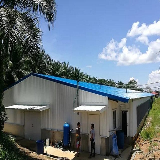 ISO جودة مزرعة دواجن بناء الفولاذ الزراعي