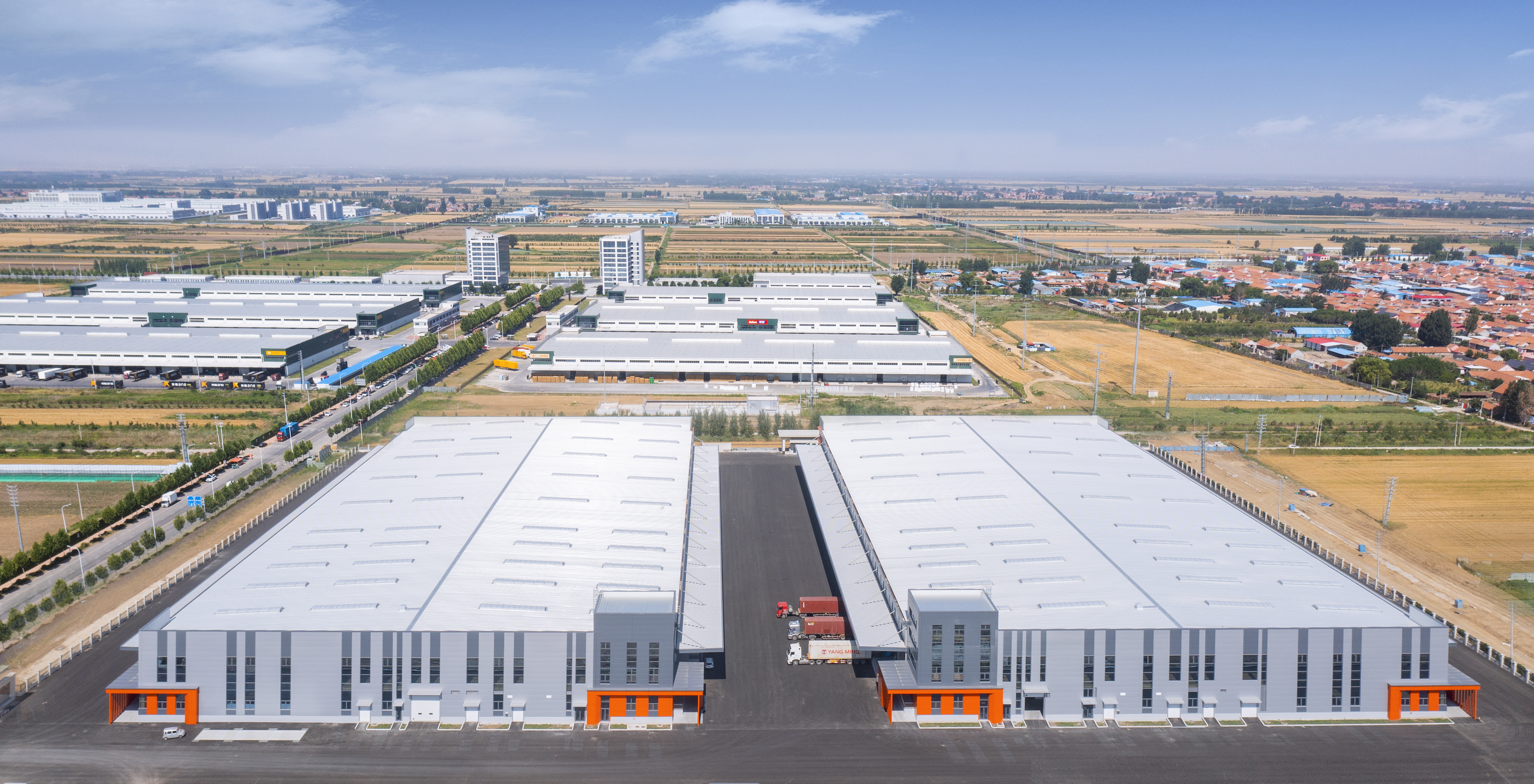 الهيكل الصلب