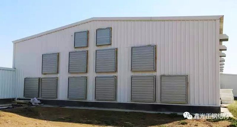 سقيفة الدجاج