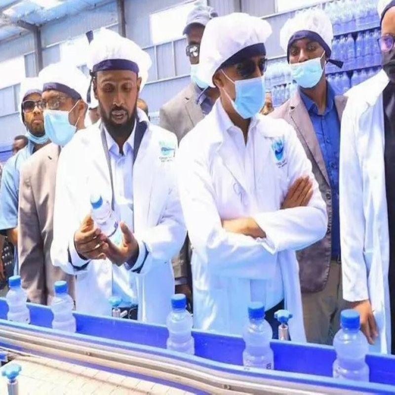 ورشة معالجة تعبئة المياه الهيكلية المسبقة الإثيوبية