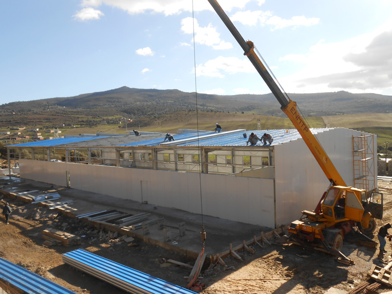 الصلب قبل الهندسة