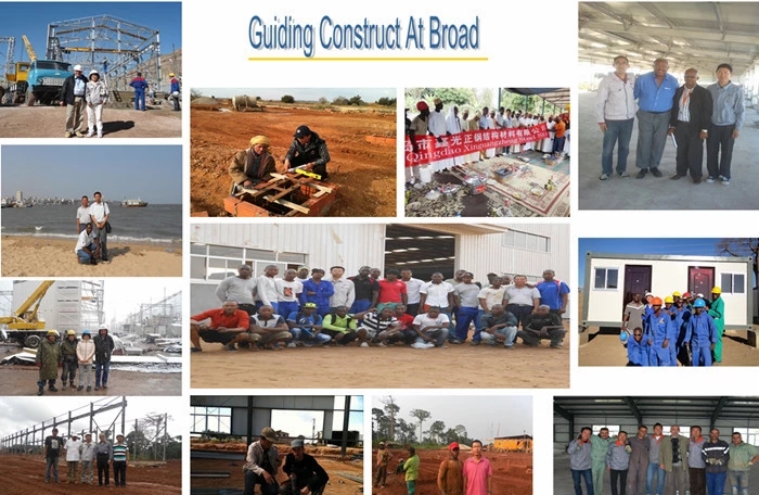 تشينغداو Xinguangzheng