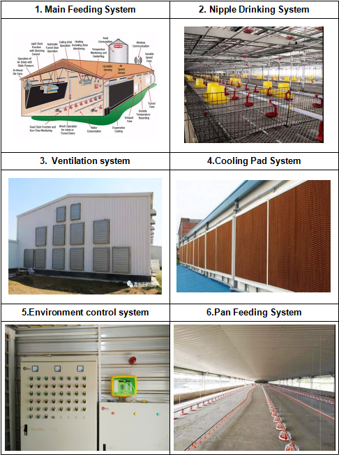 مزارع الدواجن