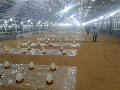 مزرعة الحديد