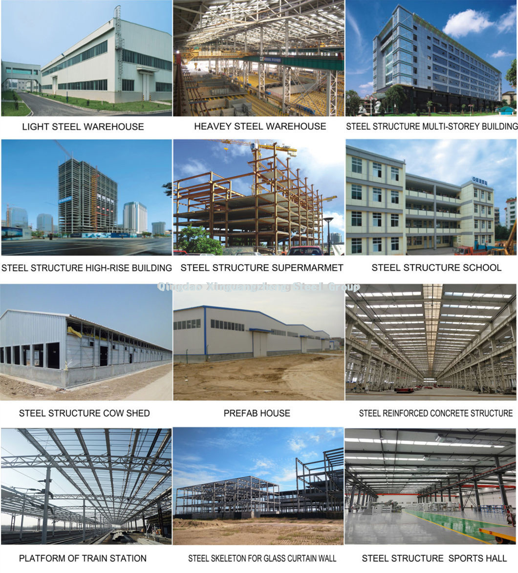 Xinguangzheng الصلب