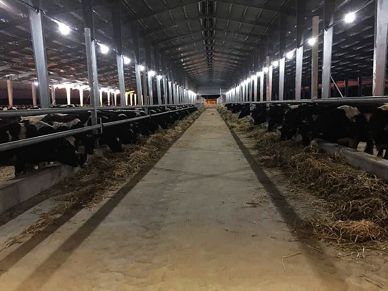 مزرعة الصلب المجلفن