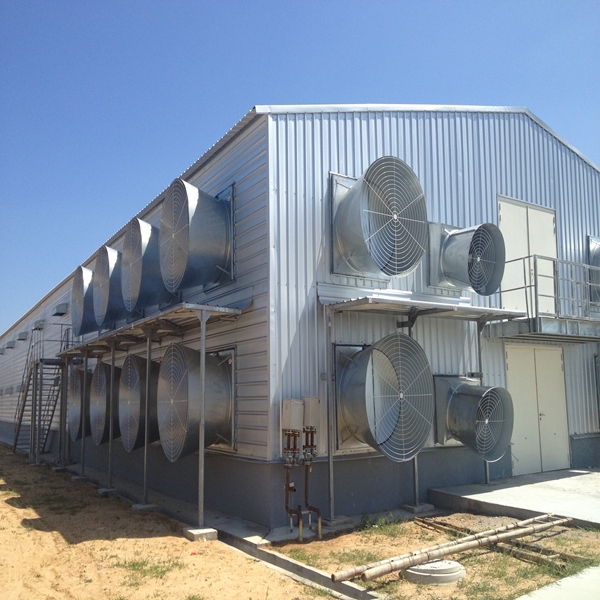 مبنى مزرعة الصلب