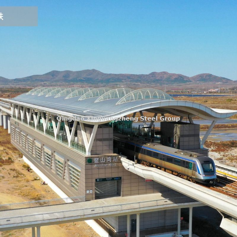 مجموعة Xinguangzheng