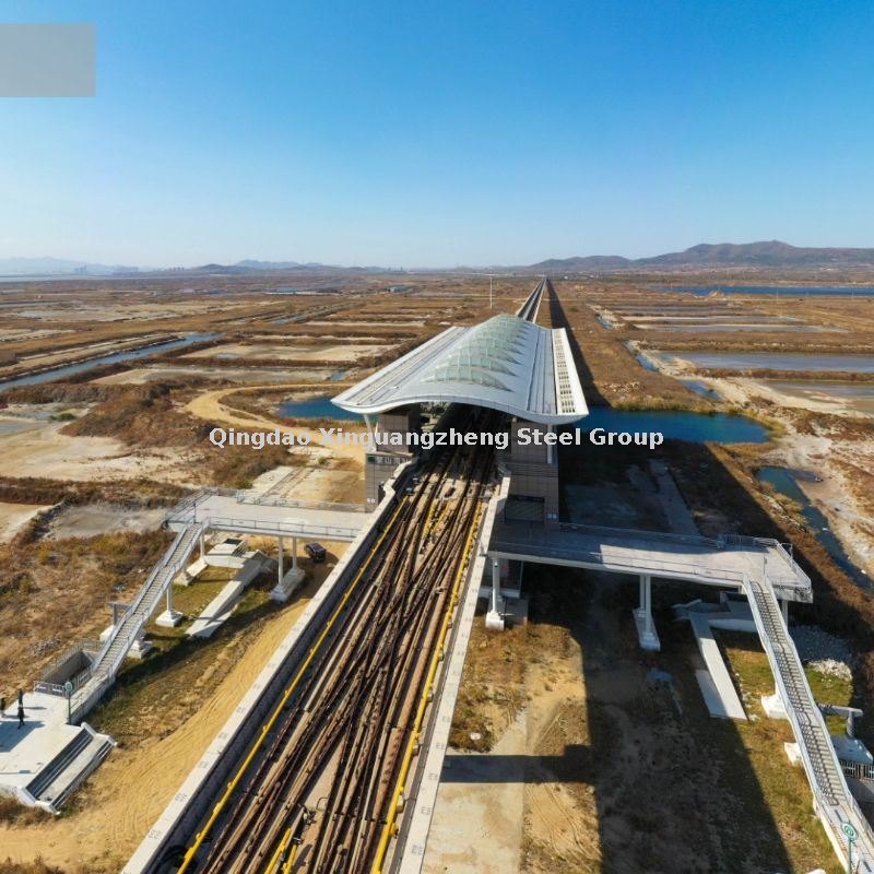 الهيكل الصلب