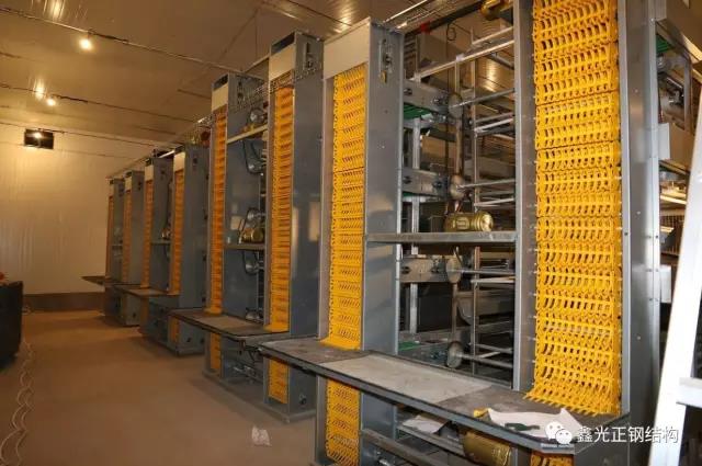 بيت الدواجن