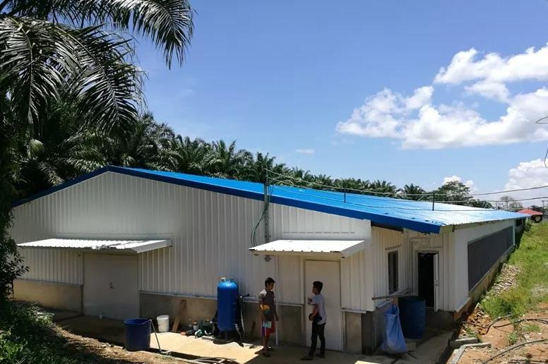 مزرعة دواجن