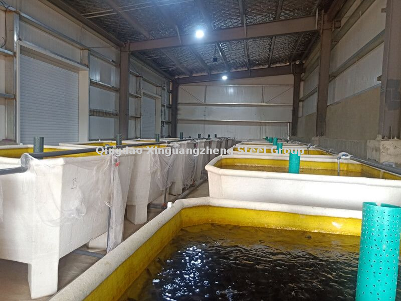 الأدوية المائية