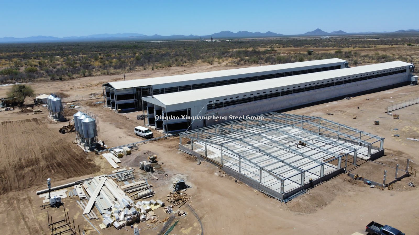 مزرعة الدجاج المكسيك