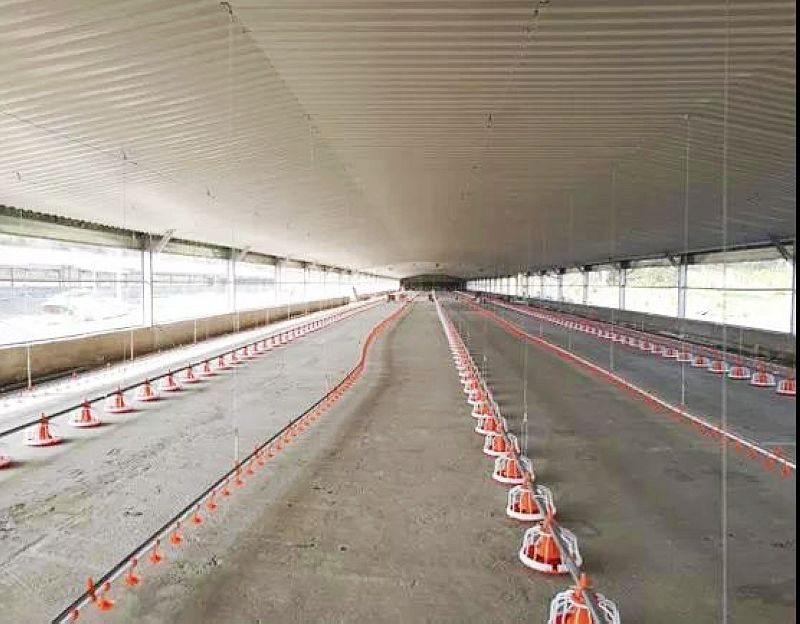 مبنى مزرعة الدجاج