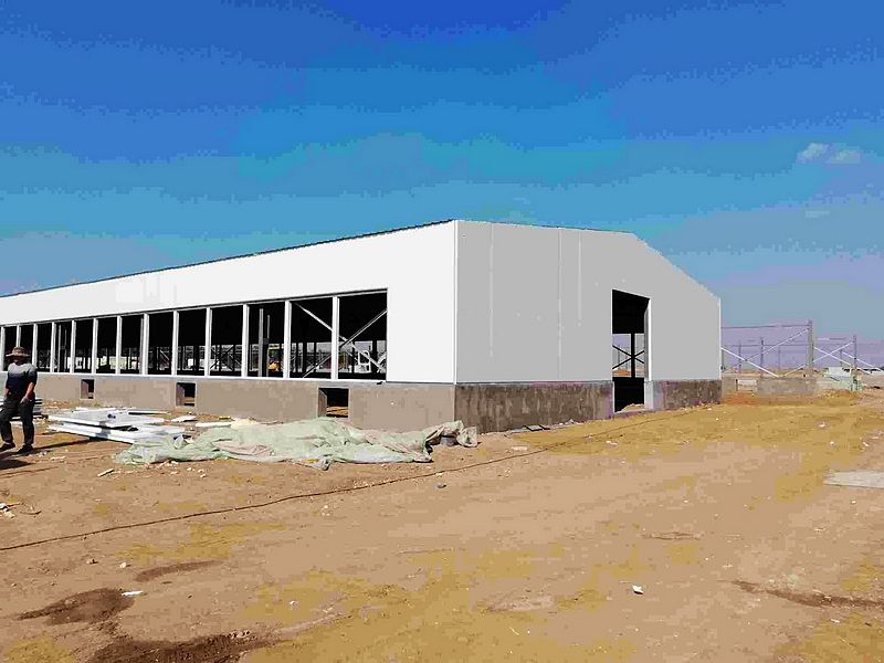 مزرعة دواجن