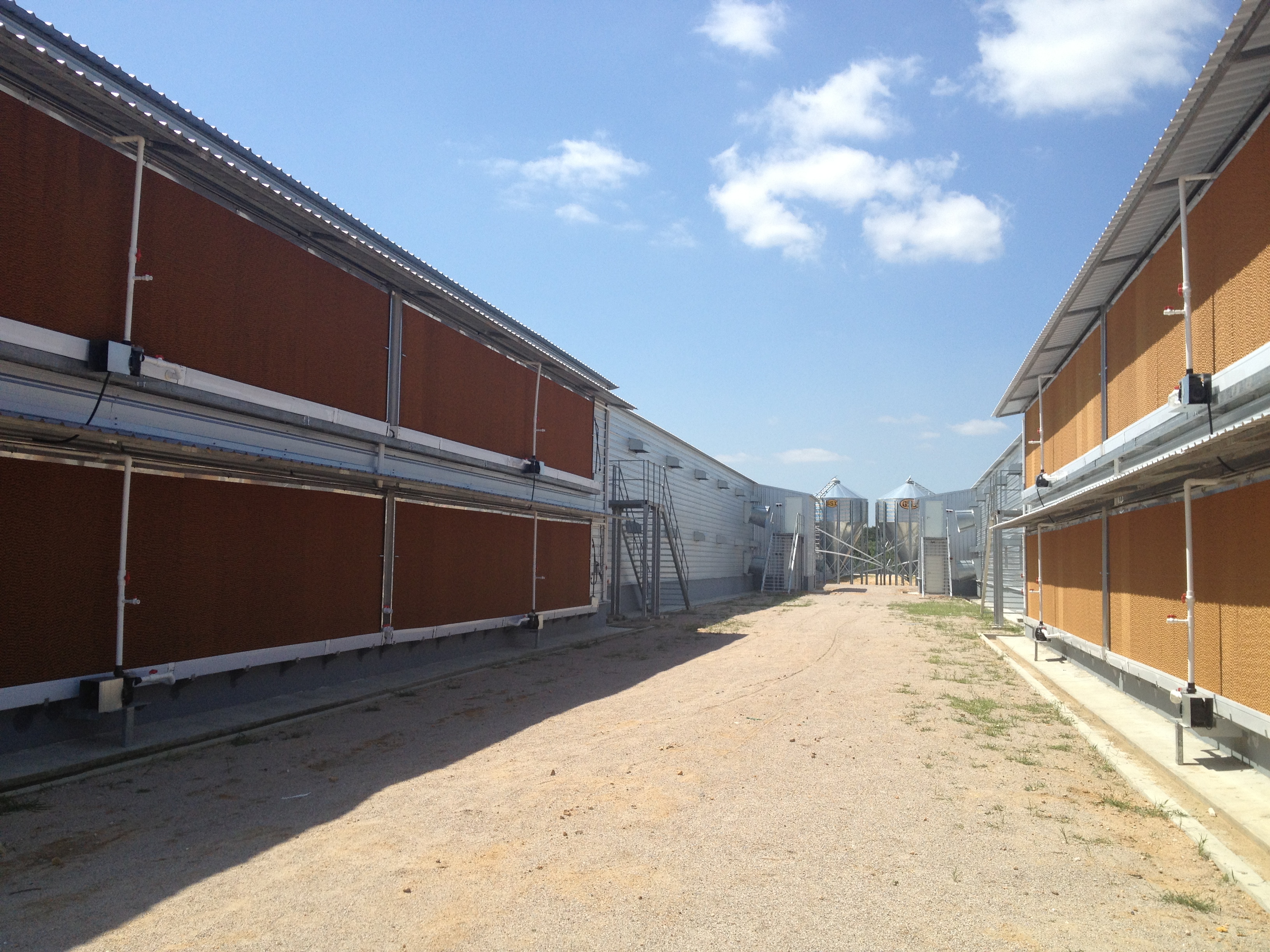 بنية فولاذية مكونة من البرد