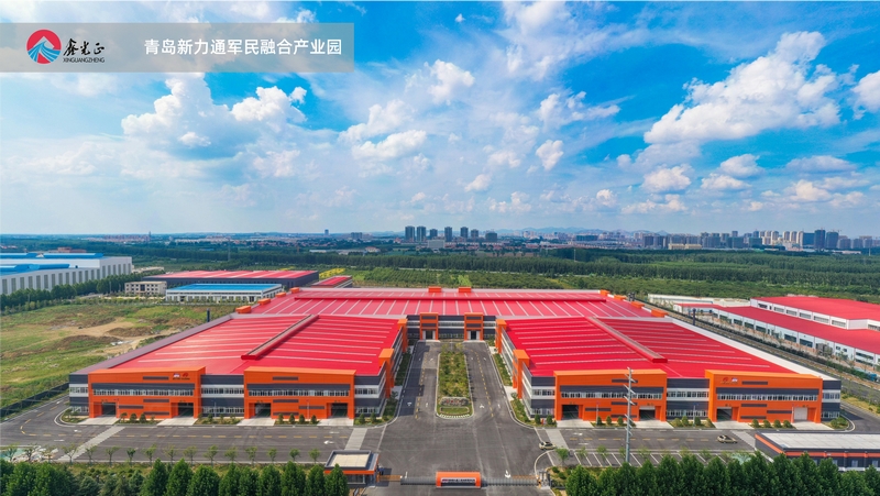 الهيكل الصلب