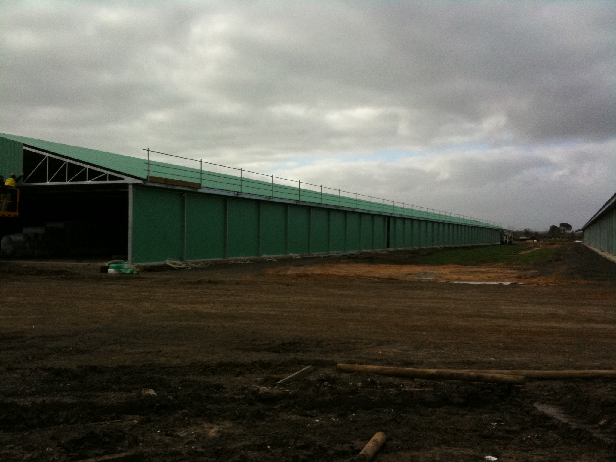 هيكل الصلب الدجاج